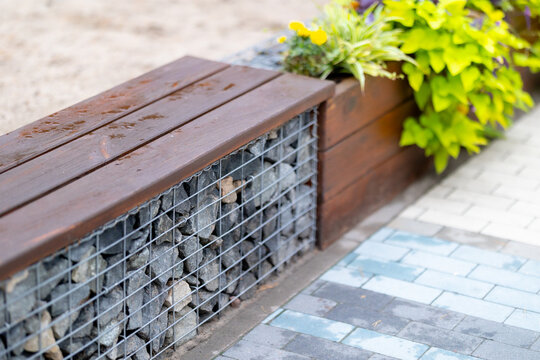 A contemporary gabion bench with wet dark wood planks and a wooden planter bursting with vibrant Ipomoea batatas foliage, beside patterned pavers in soft daylight