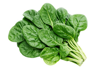 Obraz premium Fresh green spinach leaves on isolated background