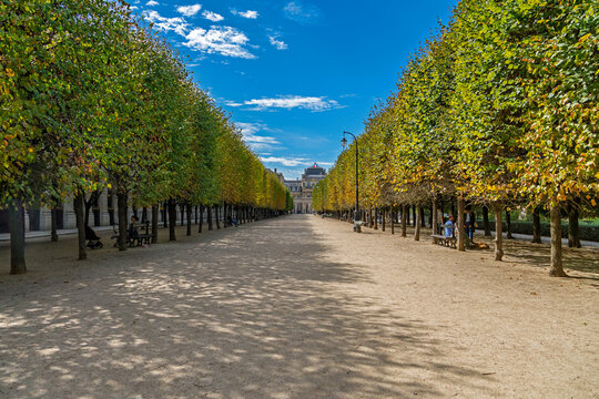 Jardin du Palais Royal, Paris