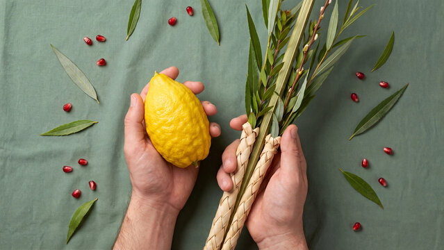 Person holding etrog and lulav surrounded by green leaves and scattered seeds.