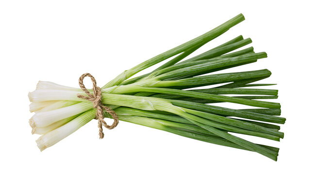 Fresh green spring onion bunch tied with rustic twine
