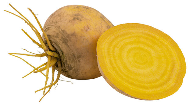 Whole and sliced golden yellow beet with fibrous roots