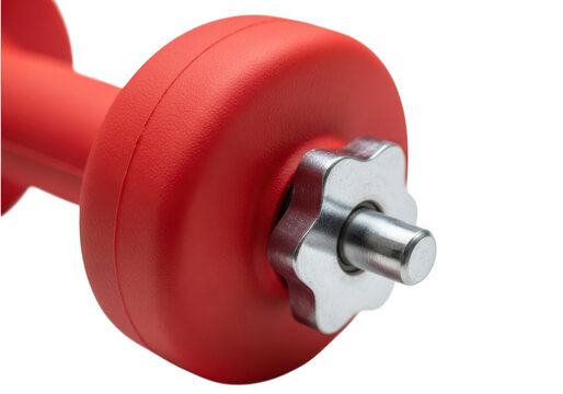 Red barbell with weight plates for gym workout