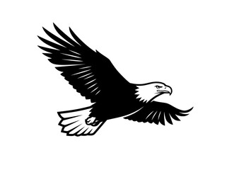 Fototapeta premium Bald eagle vector illustration, majestic flying bird of prey, black and white eagle mascot logo for sports and branding