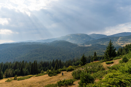 View of Belmeken mountain landscape with dense pine forests, rolling hills, and dramatic sunbeams breaking through clouds in the Rila mountains, Pazardzhik, Bulgaria.