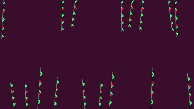 Abstract Boho Botanical Animation With Moving Stems and Leaves on Dark Background