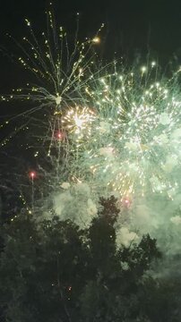 Colorful Nighttime Celebration Fireworks in Vertical Format
