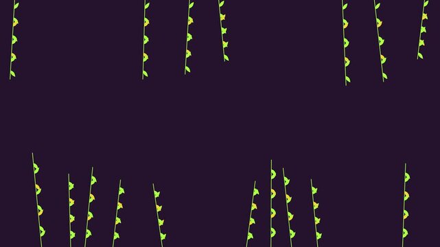 Abstract Boho Botanical Animation With Hanging Green Vines and Leaves Against Dark Background