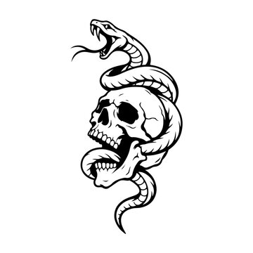 Snake Skull Tattoo Illustration Gothic Skull and Snake Design