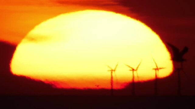 Sunset on an extreme heatwave day caused by climate change, over a solar farm.
