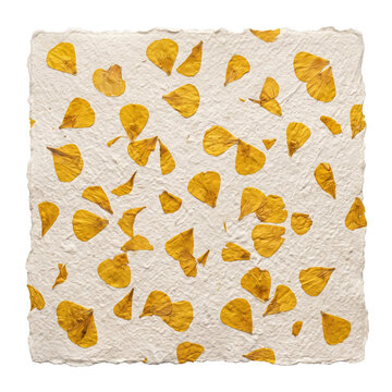 Handmade botanical paper embedded with bright yellow flower petals