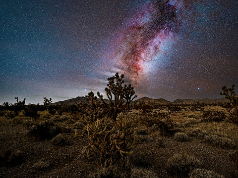 View of the Joshua Tree National Natural Landmark Forest under the winter Milky Way, with desert vegetation and mountains under a starry night sky in Washington County, Utah, United States.