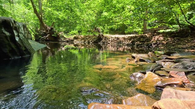 Shallow creek and natural swimming hole at Bell Smith Springs in Shawnee National Forest. Crystal clear water flows over rocks, framed by sandstone bluffs.