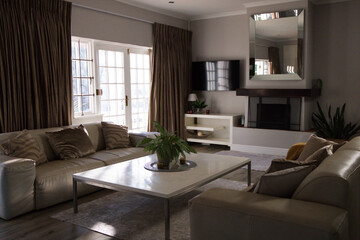Obraz premium White coffee table is sitting between sofas in living room, holding tray with plant and candles
