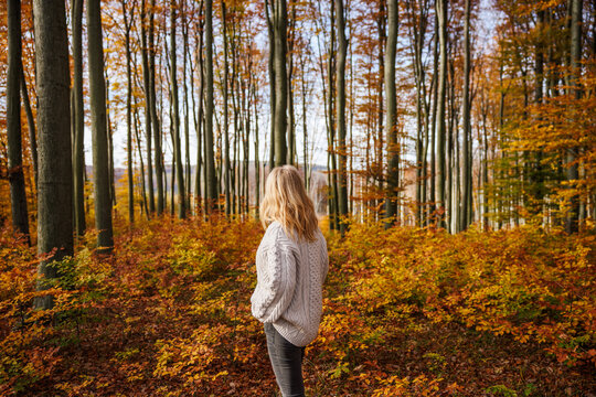 Woman in sweater stands in autumn woodland, relaxing and contemplating her thoughts. Forest bathing in fall season. Offline and digital detox concept