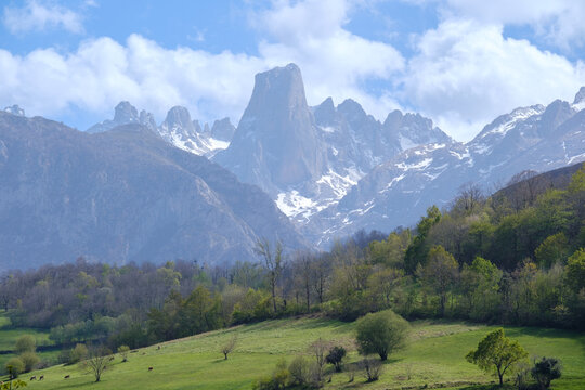 View of the Naranjo de Bulnes mountain peak rising above lush green meadows and deciduous forests in the Picos de Europa mountain range, Spain.