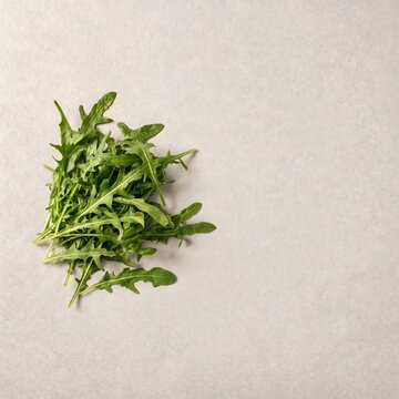 Fresh arugula on a clean neutral background
