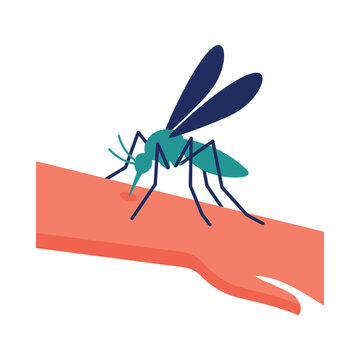 Stylized mosquito biting human skin vector illustration