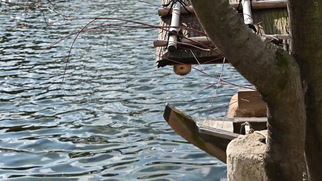 水面に反射する光と木造の舟