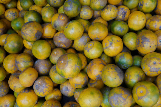 View of a large pile of fresh citrus fruits with mottled green and yellow skins in Indonesia.
