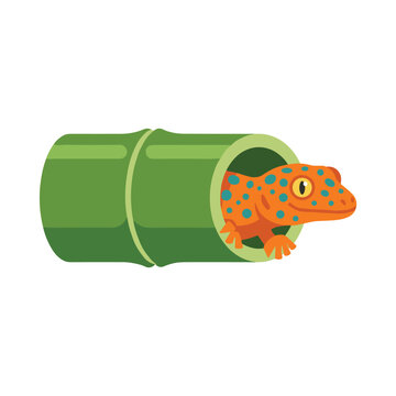 Spotted tokay gecko peeking out from bamboo tube illustration