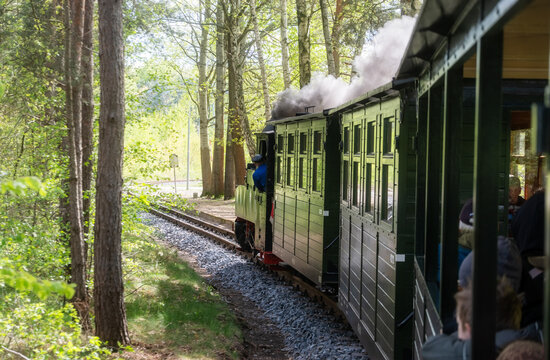 Steam powered narrow gauge passenger train travels through a green forest as smoke rises above historic carriages creating a nostalgic railway journey scene