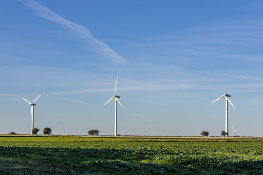 View of wind turbines in the Thy region surrounded by green fields under a clear blue sky in Thisted Municipality, Denmark.