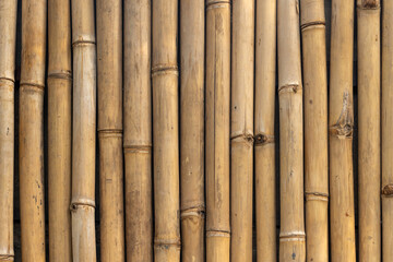 Obraz premium Closeup of natural bamboo fence panels showing vertical stalks, knots and warm wood texture ideal for rustic décor, tropical themes, backgrounds, and architectural or landscape design projects