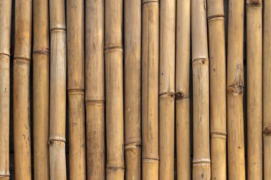 Closeup of natural bamboo fence panels showing vertical stalks, knots and warm wood texture ideal for rustic d&eacute;cor, tropical themes, backgrounds, and architectural or landscape design projects