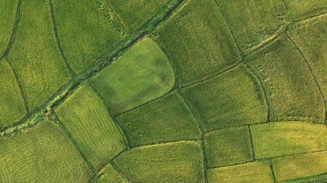 aerial view of green farmland fields landscape