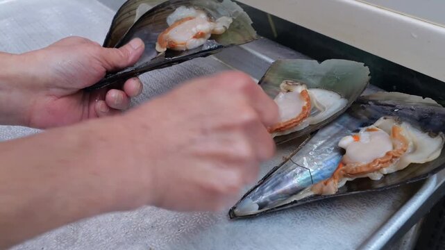 Fresh seafood items including large pen shells and assorted clams are carefully sorted and arranged on metallic preparation trays near aquariums at a bustling market setting
