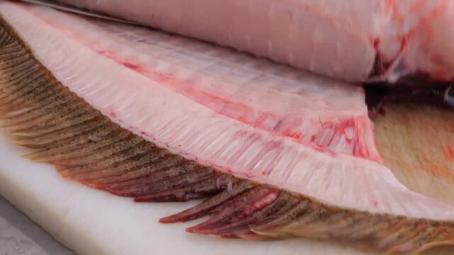 Commercial kitchen operations featuring precise flounder slicing and skinning methods for restaurant food preparation and seafood market distribution standards
