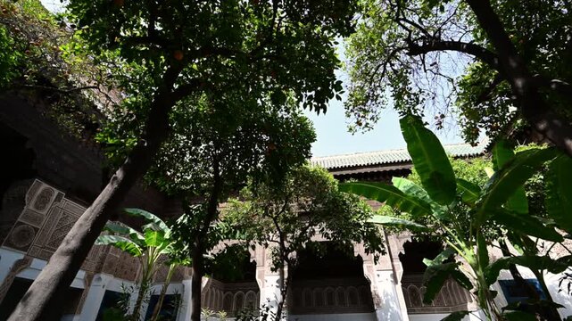 Marrakech, morocco. August 10, 2026. Sunlight filtering through the leaves of orange and banana trees in a peaceful, traditional moroccan riad courtyard in marrakech