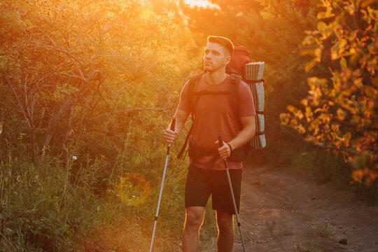 Backpacker hiker in forest at golden sunset with warm sunlight and lens flare.