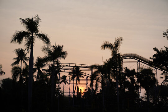 Roller coaster silhouette against a tropical sunset with palm trees.
