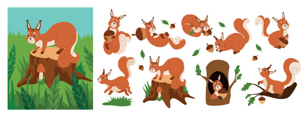 Obraz premium Squirrel in tree. Cute woodland animal with nut. Childrens cartoon character. Sticker forest pet. Happy mascot with acorns, leaves branches. Element baby print. Vector tidy isolated illustration