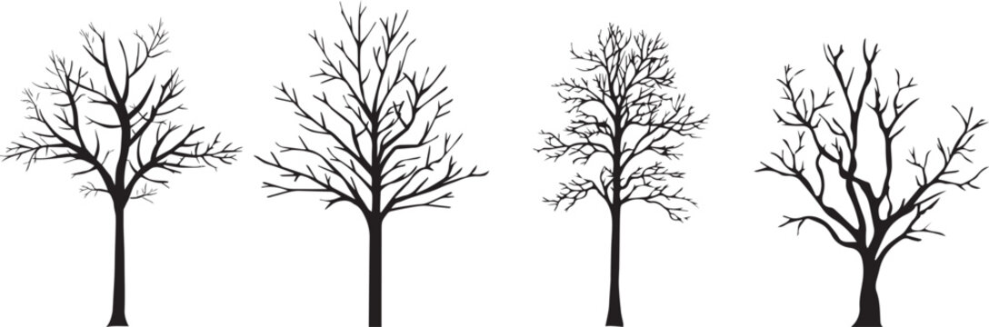 Bare winter tree silhouettes, set of 4 leafless deciduous tree vectors, black wood branch icons isolated on white, spooky forest nature elements