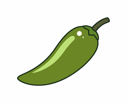 Green chili pepper vector illustration featuring a stylized flat design with clean lines and simple bold colours for organic branding