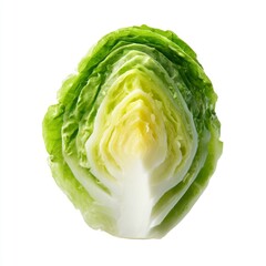 Fototapeta premium Fresh Green Cabbage Half with Crisp Leaves on a White Background for Culinary and Health Use