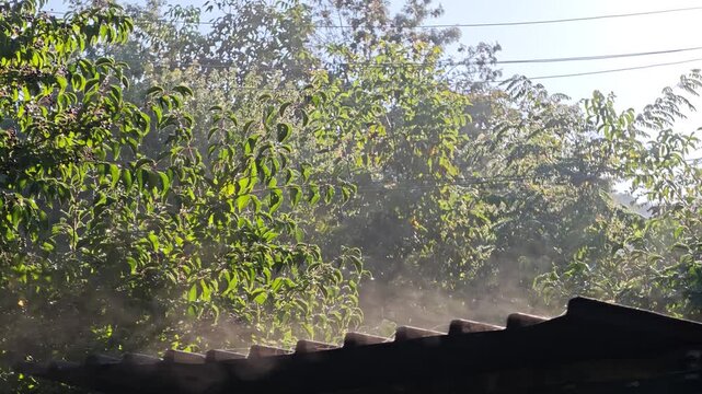 light mist or steam rising from a roof as the morning sun warms a wet surface