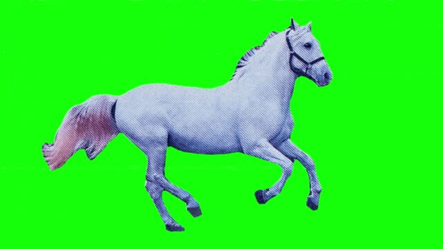 White Horse Running in Motion. Majestic galloping white horse stallion, equine action in wind, dynamic farm animal running pose
