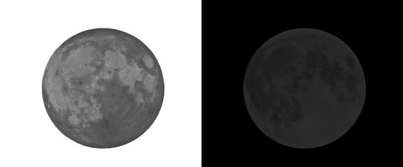 Full moon celestial illustration set, realistic lunar surface textures on white and black backgrounds, astronomical moon phase icons for design © Smart Studio