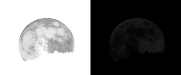Full moon texture illustration, realistic lunar surface with craters, monochrome celestial sphere isolated on white and black background © Smart Studio