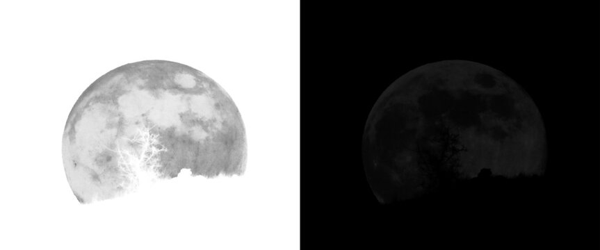 Full moon texture illustration, realistic lunar surface with craters, monochrome celestial sphere isolated on white and black background