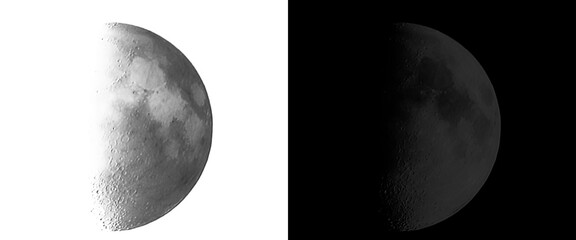 Realistic half moon phases set, monochrome lunar surface with craters, celestial moon icons on black and white backgrounds for astronomical design © Smart Studio
