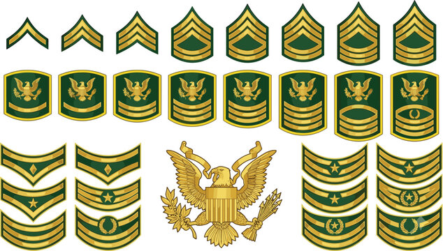 United States Army enlisted rank insignia vector set featuring gold sergeant chevron stripes specialist badges and eagle crest