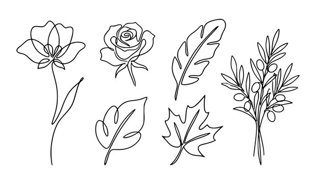 Hand Drawn Botanical Continuous Line Art Collection with Flowers, Leaves, Rose and Olive Bouquet