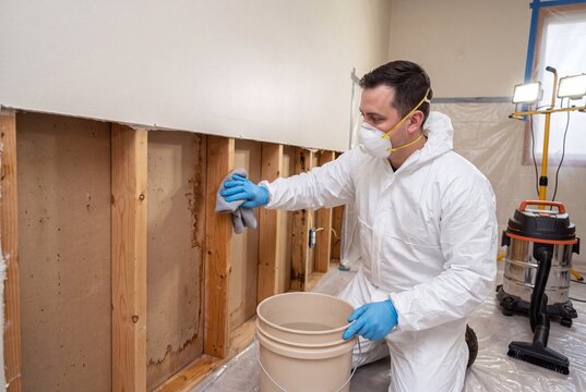 Worker removing mold from residential wooden wall framing