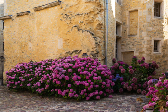 Flowers fill a courtyard in Bayeux in the Normandy region of France