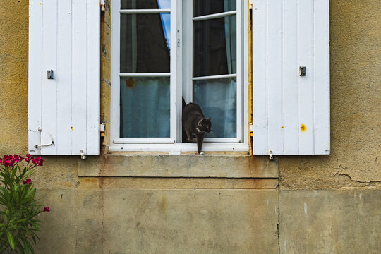 A black cat creeps through an open window in the streets of Bayeux in the Normandy region of France